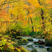 東北で紅葉見るならここ!紅葉絶景の宝庫東北地方の紅葉名所