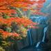 温泉も一緒に楽しめる!関東のおすすめ紅葉スポット7選