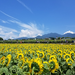 旅好き、絶景好き!そしてグルメ通!?Tripa編集部員の夏休みレポート