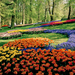 限られた時期にしか見られない色とりどりの絶景!世界のお花畑8選