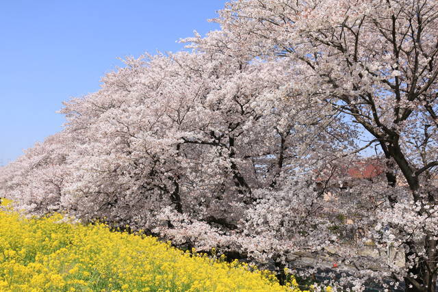 photo by author (76296)