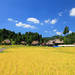 新潟県の旅館・ホテル予約