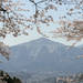 人気の埼玉旅行・埼玉ツアー