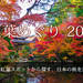 秋の紅葉狩り・紅葉旅行特集2018