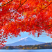富士山ビューの絶景露天風呂も!紅葉見るなら河口湖がおすすめ♪